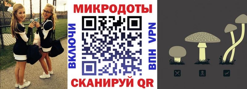 Псилоцибиновые грибы Psilocybine cubensis  Ирбит 