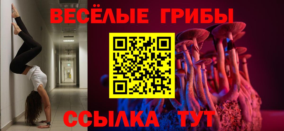 Псилоцибиновые грибы прущие грибы  Вход с VPN  Ирбит 